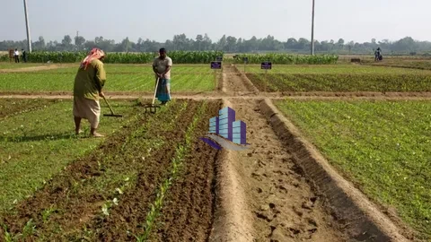 1 Maraba Agricultural Land for Sale Near Siawala Interchange