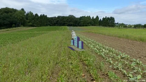 15 Acres Agricultural Land for Sale on Jarawala Road