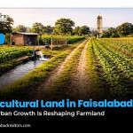Agricultural Land in Faisalabad: How Urban Growth Is Reshaping Farmland