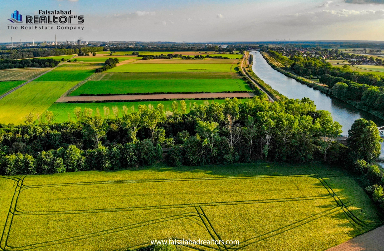 agriculture-in-faisalabad-faisalabad-realtors-guide-agri-landjpg-1.webp
