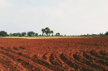 25 Acres Prime Agricultural Land for Sale on Satiana Jaranwala Road – Ideal for Farming & Investment