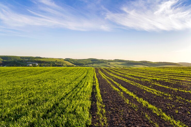 Organic Farmhouses For Sale Abbaspur, Samundari road Bypass Faisalabad