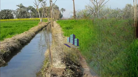 26 Acres Prime Agricultural Land for Sale in Khadarwala – Fertile & Ready for Farming