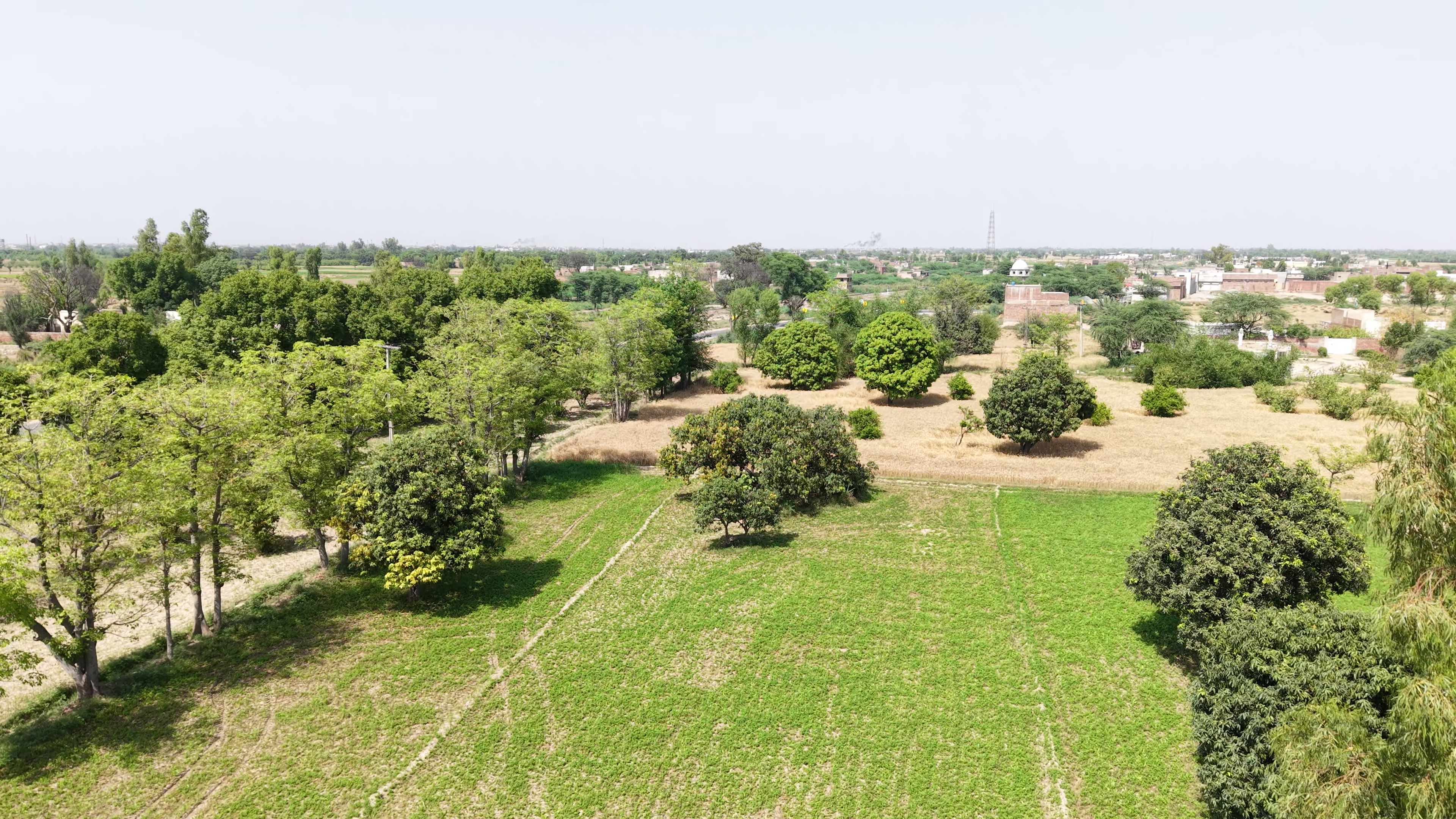 20 Acre Fully Agriculture land For Sale Best For Investment - Near By Jaranwala Road