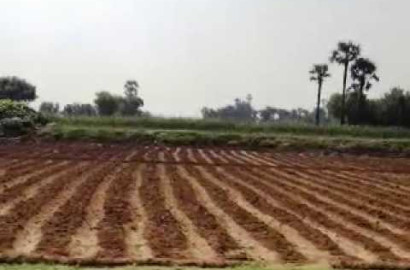 5 kanal Prime Agricultural Land for Sale on 139 JB Road Faisalabad