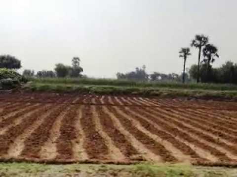 5 kanal Prime Agricultural Land for Sale on 139 JB Road Faisalabad
