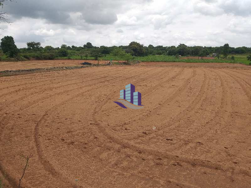 Agricultural Land for Sale Near Saloni Jhal – Prime Location