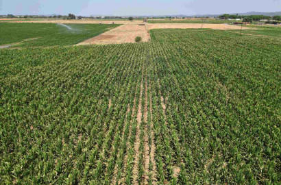 2.5 Acre Land For Sale At Samundari Road Near By Citi Housing Faisalabad