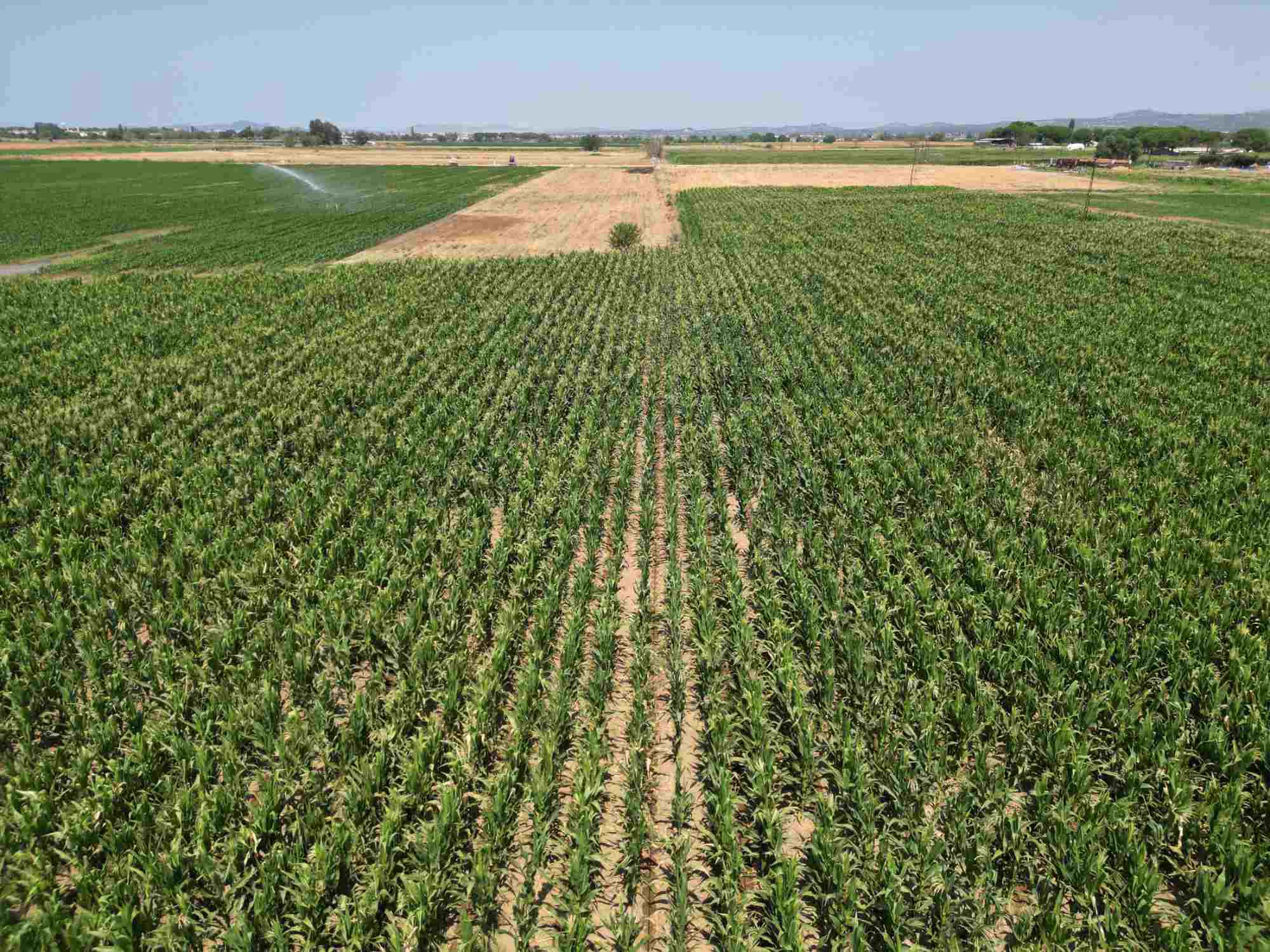 2.5 Acre Land For Sale At Samundari Road Near By Citi Housing Faisalabad