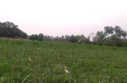 Agriculture Land for Sale for Investment at Link Khurrianwala to Jaranwala Road Faisalabad