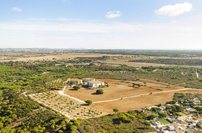 Ideal 1 Kanal Commercial Plot For Sale At Shahkot Best For Showroom, Schools, Colleges, Restaurants, Halls, Factory