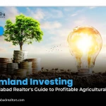 Farmland Investing: A Faisalabad Realtor's Guide to Profitable Agricultural Land