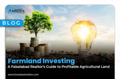 Farmland Investing: A Faisalabad Realtor's Guide to Profitable Agricultural Land