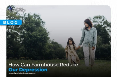 How Can Farmhouse Reduce Our Depression