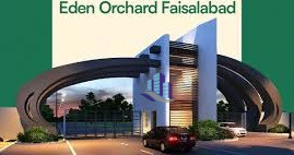 20 Marla Plot For Sale 80 Feet Road In Eden Orchard Near Lassani Puli Sargodha Road Faisalabad, Punjab