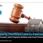 Property Partition Law in Pakistan: Legal Process, Joint Property Division and Court Procedure