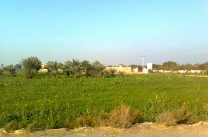 5 Acre Fully Agricultural Land For Sale For Farming At Jaranwala Road