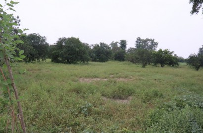 15 Acre Land Available For Sale Link Samundari Road To Jhung Road Bypass Faisalabad (Best For Farmhouse , Azafiabadi, Co