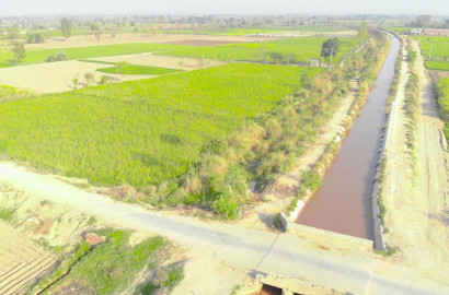 Agriculture land for sale in Faisalabad