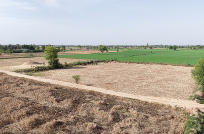 VIP 37 Acer  Land For Sale Near 56 R.B, District Faisalabad, Tehsil Jaranwala Punjab
