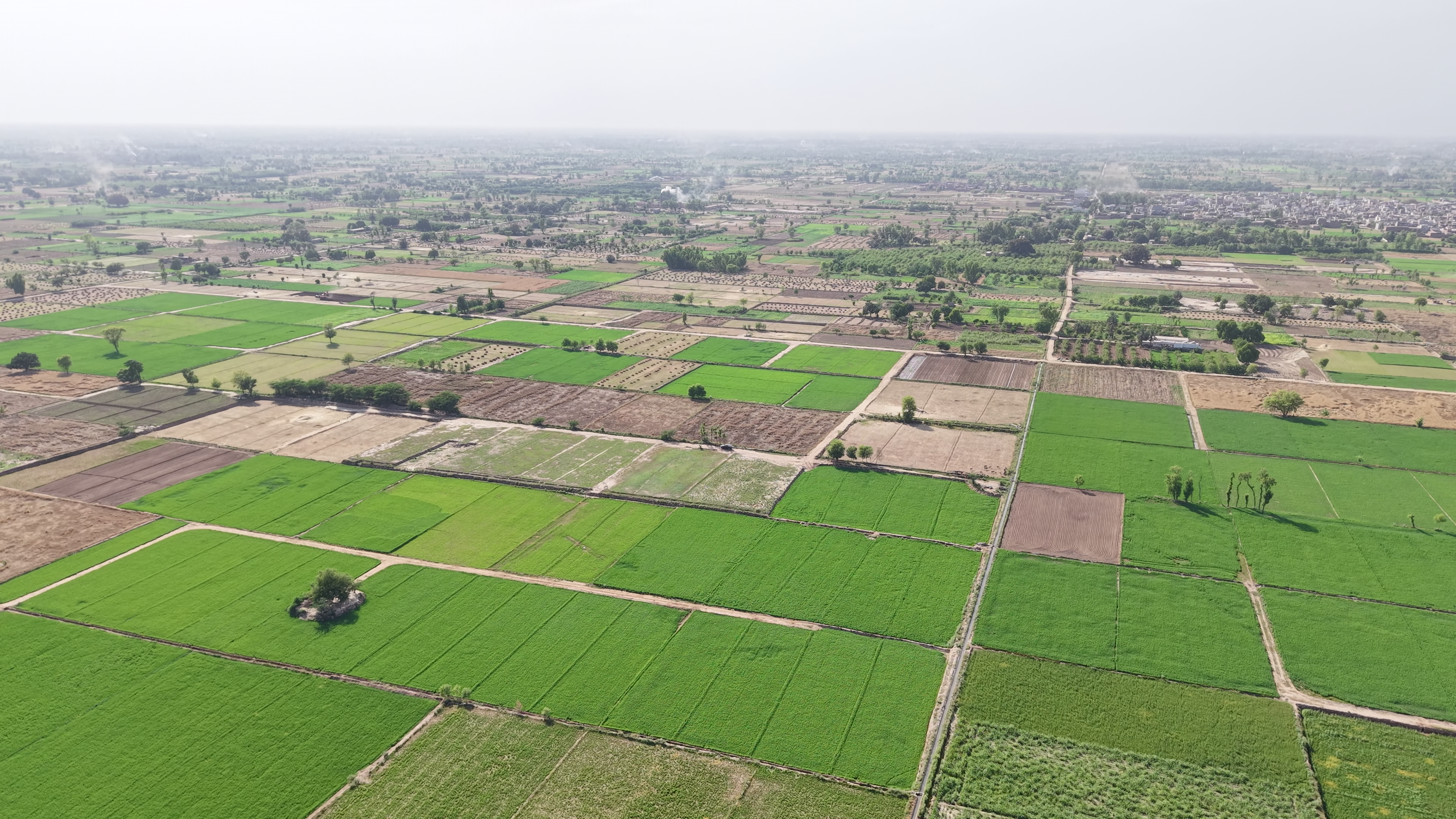 VIP 37 Acer  Land For Sale Near 56 R.B, District Faisalabad, Tehsil Jaranwala Punjab