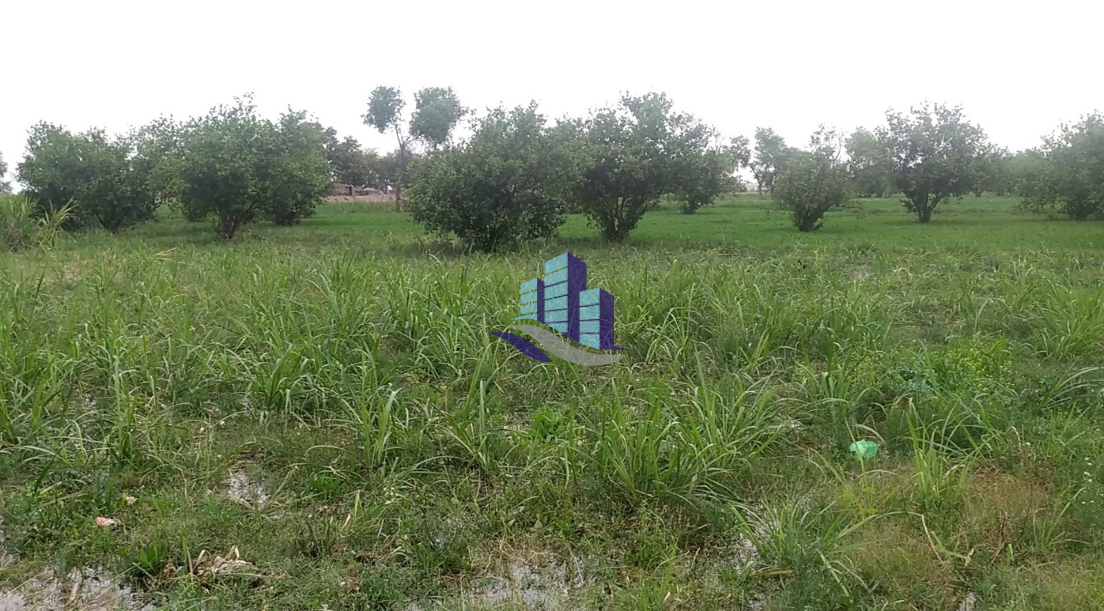 Vip 800 Kanal Fully Agriculture Land for Sale Best For Investment Near Gojra Motorway Interchange Faisalabad