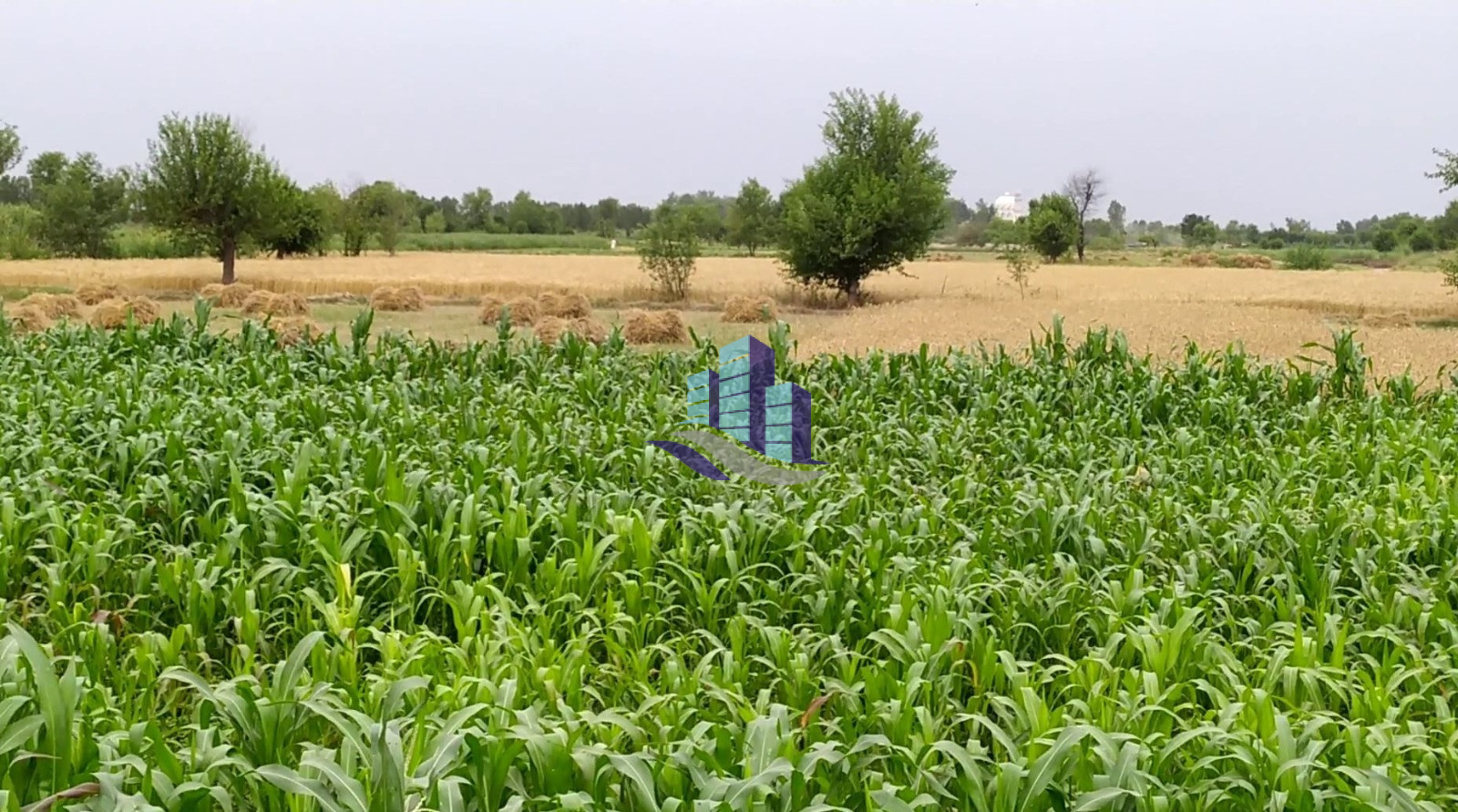 VIP 1 Muraba  Land For Sale Best For Investment at Nearby Chota Sahiwal On Satyana Road Faisalabad Punjab