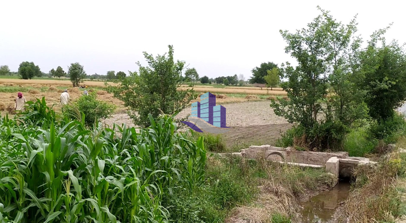 Vip 800 Kanal Fully Agriculture Land for Sale Best For Investment Near Gojra Motorway Interchange Faisalabad