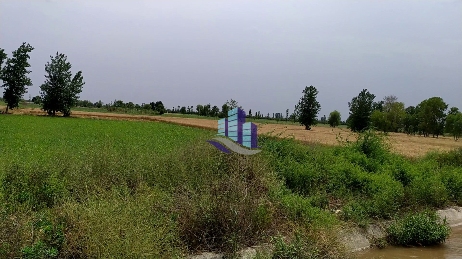 Prime 200 Kanal Fully Agriculture Land for Best investment at Nearby Jarranwala Road Faisalabad
