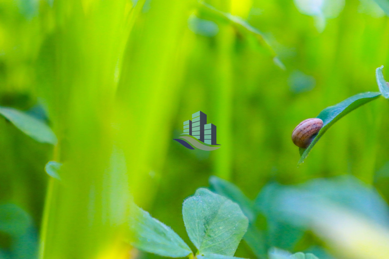 Ideal 25 acre fully Agriculture land available for sale Best For Investment nearby samundri Road Faisalabad