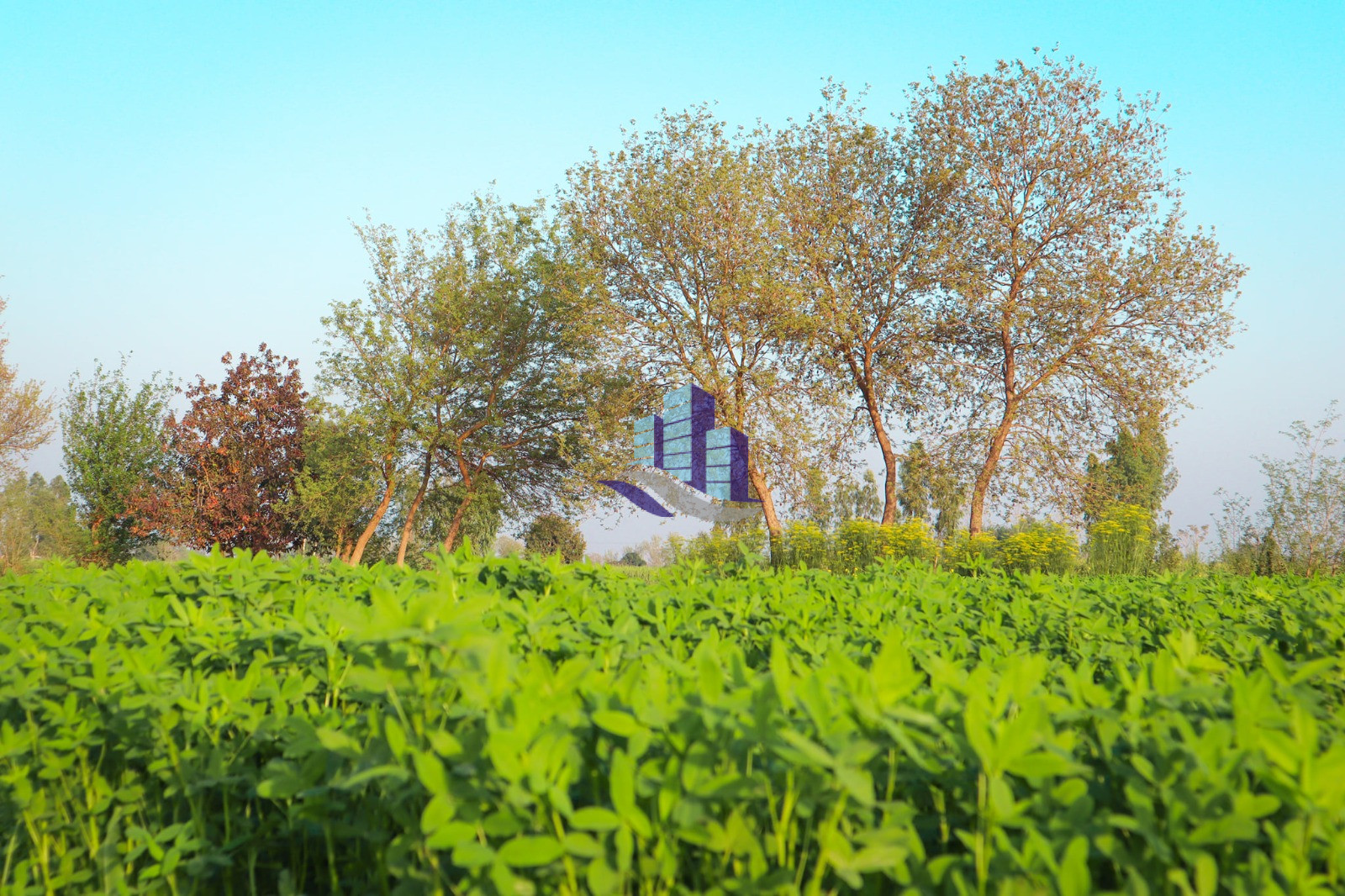 Ideal 8 Kanal Land For Sale Near Jhang Road Faisalabad Best For Farmhose & Investment