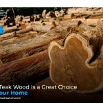 Why Teak Wood Is a Great Choice for Your Home